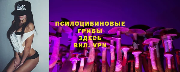 гидра Козельск
