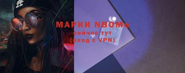 индика Алзамай