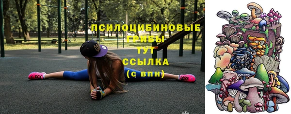 амф Кодинск