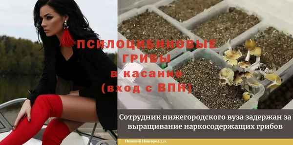 амф Кодинск