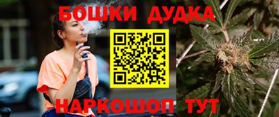 МДПВ Абакан