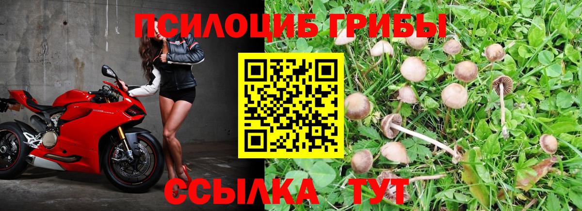 Псилоцибиновые грибы Magic Shrooms  Галлюциногенные грибы GOLDEN TEACHER  Вход с VPN  Санкт-Петербург 