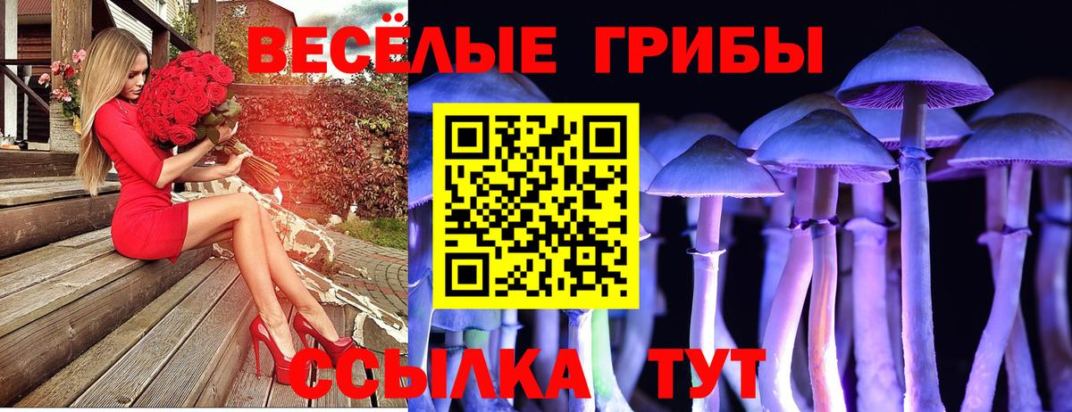 Псилоцибиновые грибы Cubensis  закладки  Санкт-Петербург  Псилоцибиновые грибы Cubensis 