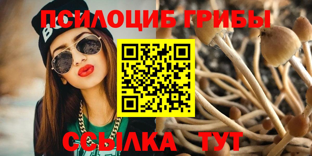 Галлюциногенные грибы Cubensis Санкт-Петербург